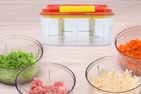 Handy Dual Blade Manual Food Chopper Compact & Powerful 2in1 Handy 1 Litre  Chopper, Cutter with SS Blades a (1000 ml)